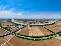 A wheat harvest is happening on both sides of the Yellow River in the Yellow River beach area of Jinan, China, on May 31, 2024. (