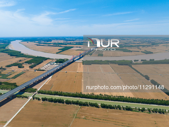 A wheat harvest is happening on both sides of the Yellow River in the Yellow River beach area of Jinan, China, on May 31, 2024. 