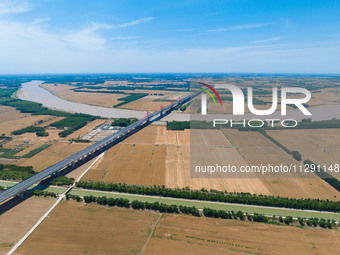 A wheat harvest is happening on both sides of the Yellow River in the Yellow River beach area of Jinan, China, on May 31, 2024. (