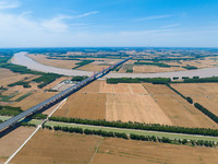 A wheat harvest is happening on both sides of the Yellow River in the Yellow River beach area of Jinan, China, on May 31, 2024. (