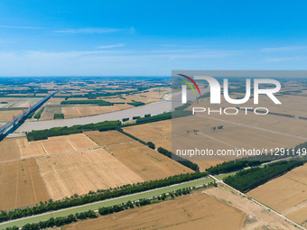 A wheat harvest is happening on both sides of the Yellow River in the Yellow River beach area of Jinan, China, on May 31, 2024. (