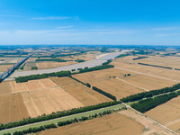 A wheat harvest is happening on both sides of the Yellow River in the Yellow River beach area of Jinan, China, on May 31, 2024. (