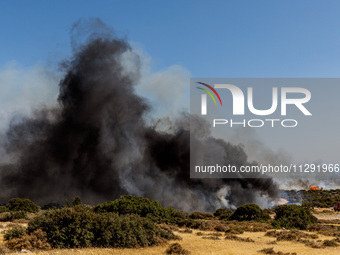 Thick smoke is being seen in the area in Limassol, Cyprus, on May 31, 2024. Some buildings are being in danger after a fire is breaking out...