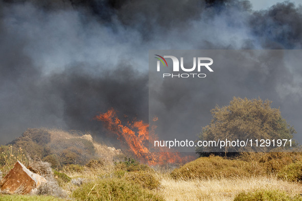 Flames are being seen between the bushes and trees in Limassol, Cyprus, on May 31, 2024. Some buildings are being endangered after a fire br...