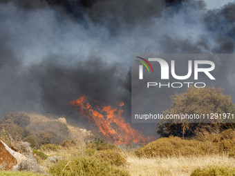 Flames are being seen between the bushes and trees in Limassol, Cyprus, on May 31, 2024. Some buildings are being endangered after a fire br...