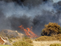 Flames are being seen between the bushes and trees in Limassol, Cyprus, on May 31, 2024. Some buildings are being endangered after a fire br...