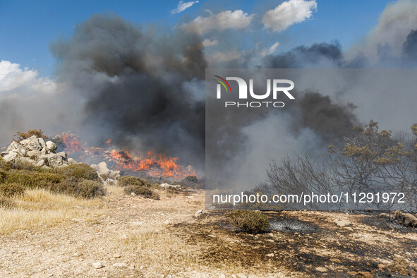 Flames are being seen between the bushes and trees in Limassol, Cyprus, on May 31, 2024. Some buildings are being endangered after a fire br...