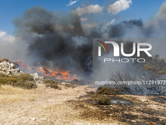 Flames are being seen between the bushes and trees in Limassol, Cyprus, on May 31, 2024. Some buildings are being endangered after a fire br...