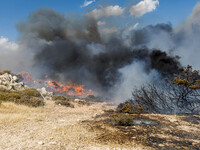 Flames are being seen between the bushes and trees in Limassol, Cyprus, on May 31, 2024. Some buildings are being endangered after a fire br...