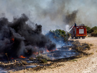 Firemen are operating in the area in Limassol, Cyprus, on May 31, 2024. Some buildings are in danger after a fire breaks out in the Agios Si...