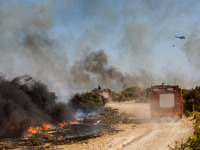 Firemen are operating in the area in Limassol, Cyprus, on May 31, 2024. Some buildings are in danger after a fire breaks out in the Agios Si...