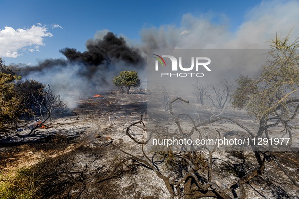 Thick smoke is being seen in the area in Limassol, Cyprus, on May 31, 2024. Some buildings are being in danger after a fire is breaking out...