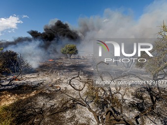 Thick smoke is being seen in the area in Limassol, Cyprus, on May 31, 2024. Some buildings are being in danger after a fire is breaking out...