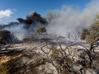 Thick smoke is being seen in the area in Limassol, Cyprus, on May 31, 2024. Some buildings are being in danger after a fire is breaking out...