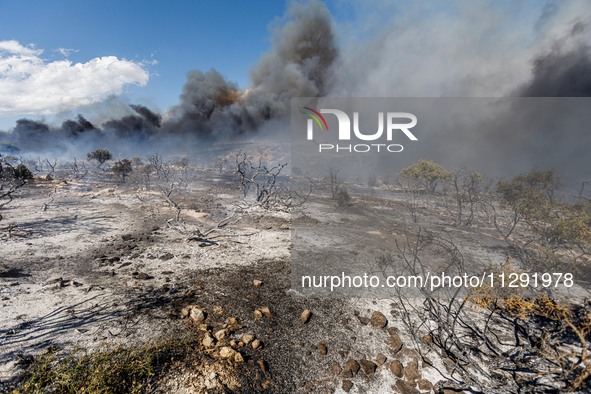 Thick smoke is being seen in the area in Limassol, Cyprus, on May 31, 2024. Some buildings are being in danger after a fire is breaking out...