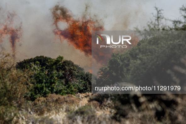 Flames are being seen between the bushes and trees in Limassol, Cyprus, on May 31, 2024. Some buildings are being endangered after a fire br...