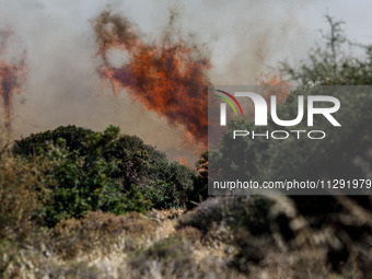 Flames are being seen between the bushes and trees in Limassol, Cyprus, on May 31, 2024. Some buildings are being endangered after a fire br...