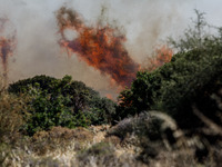 Flames are being seen between the bushes and trees in Limassol, Cyprus, on May 31, 2024. Some buildings are being endangered after a fire br...