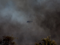 A helicopter is being seen through the smoke in Limassol, Cyprus, on May 31, 2024. Some buildings are in danger after a fire breaks out in t...