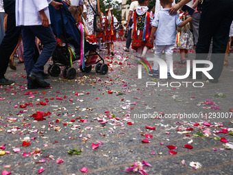 Children scatter flower petals during Corpus Christi procession in Krakow, Poland on May 30, 2024. The procession starts with a priest carry...