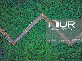 Tourists are visiting the ecological lotus pond in Huaying, China, on May 31, 2024. (