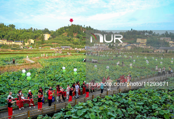 Tourists are visiting the ecological lotus pond in Huaying, China, on May 31, 2024. 