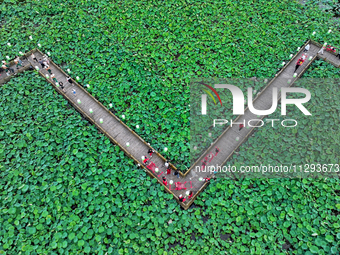 Tourists are visiting the ecological lotus pond in Huaying, China, on May 31, 2024. (