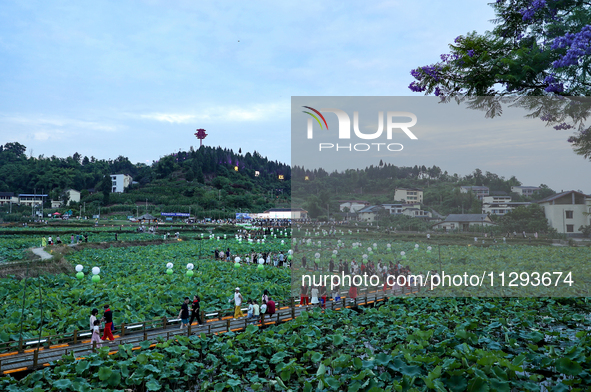 Tourists are visiting the ecological lotus pond in Huaying, China, on May 31, 2024. 