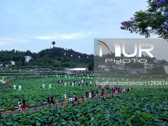 Tourists are visiting the ecological lotus pond in Huaying, China, on May 31, 2024. (