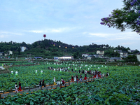 Tourists are visiting the ecological lotus pond in Huaying, China, on May 31, 2024. (