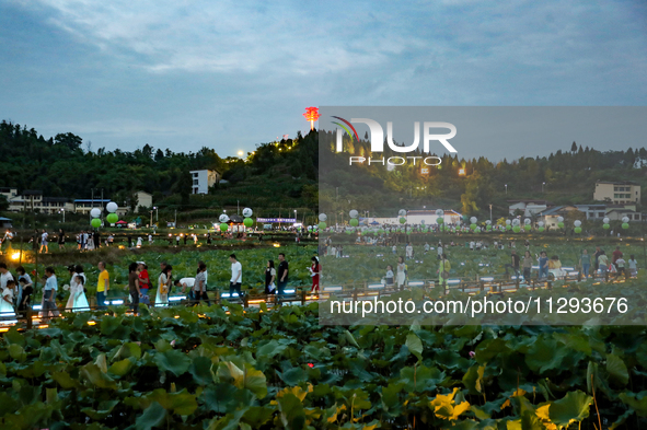 Tourists are visiting the ecological lotus pond in Huaying, China, on May 31, 2024. 