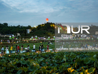 Tourists are visiting the ecological lotus pond in Huaying, China, on May 31, 2024. (