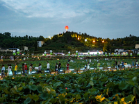 Tourists are visiting the ecological lotus pond in Huaying, China, on May 31, 2024. (