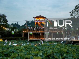 Tourists are visiting the ecological lotus pond in Huaying, China, on May 31, 2024. (