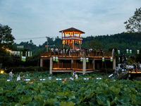 Tourists are visiting the ecological lotus pond in Huaying, China, on May 31, 2024. (