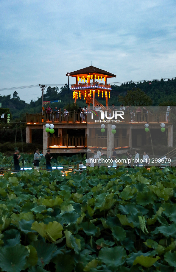 Tourists are visiting the ecological lotus pond in Huaying, China, on May 31, 2024. 