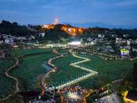 Tourists are visiting the ecological lotus pond in Huaying, China, on May 31, 2024. (