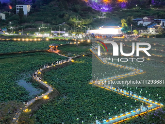 Tourists are visiting the ecological lotus pond in Huaying, China, on May 31, 2024. (