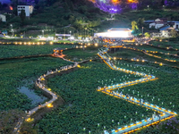 Tourists are visiting the ecological lotus pond in Huaying, China, on May 31, 2024. (