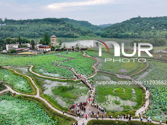 Tourists are visiting the ecological lotus pond in Huaying, China, on May 31, 2024. (