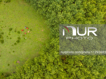 Forest rangers are resting on a forest patrol in Bijie, Guizhou province, China, on May 31, 2024. (