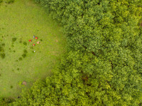 Forest rangers are resting on a forest patrol in Bijie, Guizhou province, China, on May 31, 2024. (