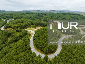 A forest farm is being seen in Bijie, China, on May 31, 2024. (