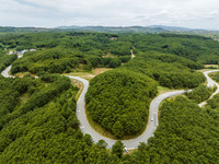 A forest farm is being seen in Bijie, China, on May 31, 2024. (