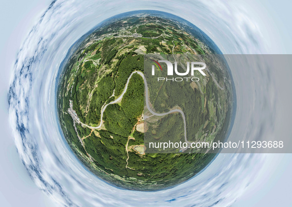 A forest farm is being seen in Bijie, China, on May 31, 2024. 