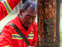 Forest rangers are checking the health of trees in Bijie, China, on May 31, 2024. (