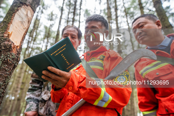 Forest rangers are registering their patrol in Bijie, Guizhou province, China, on May 31, 2024. 