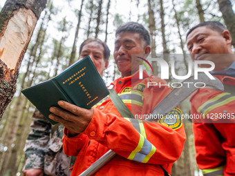 Forest rangers are registering their patrol in Bijie, Guizhou province, China, on May 31, 2024. (