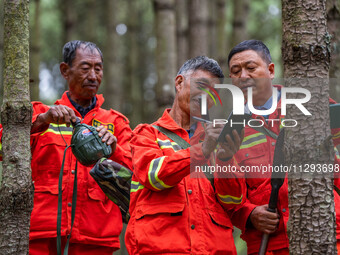 Forest rangers are registering their patrol in Bijie, Guizhou province, China, on May 31, 2024. (