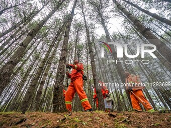 Forest rangers are patrolling a forest in Bijie, China, on May 31, 2024. (